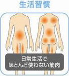 加圧トレーニング Top Fit