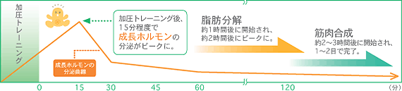 加圧トレーニング Top Fit